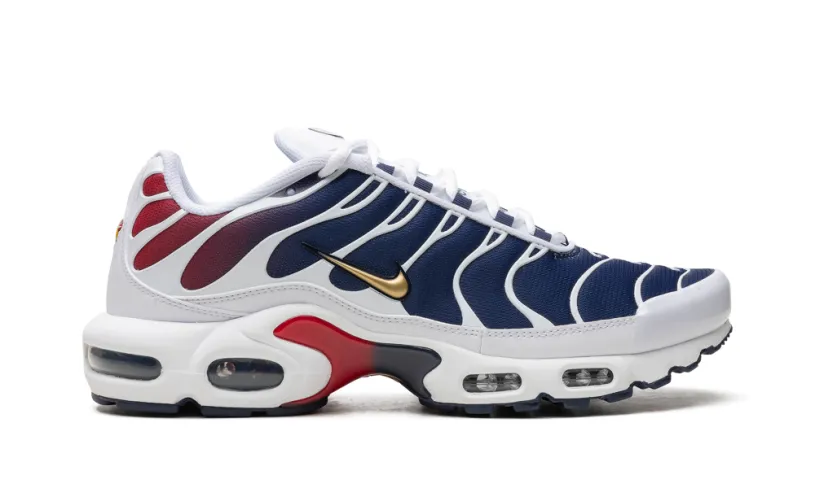 Nike Air Max Air Max Plus 'PSG'